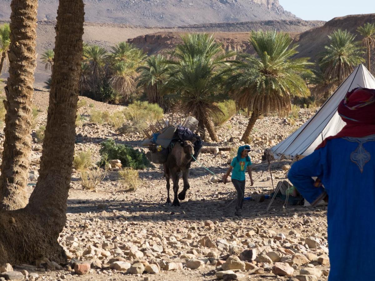 Bivouac Les Nomades & Foum Zguid To Chegaga Tours Hotell Exteriör bild