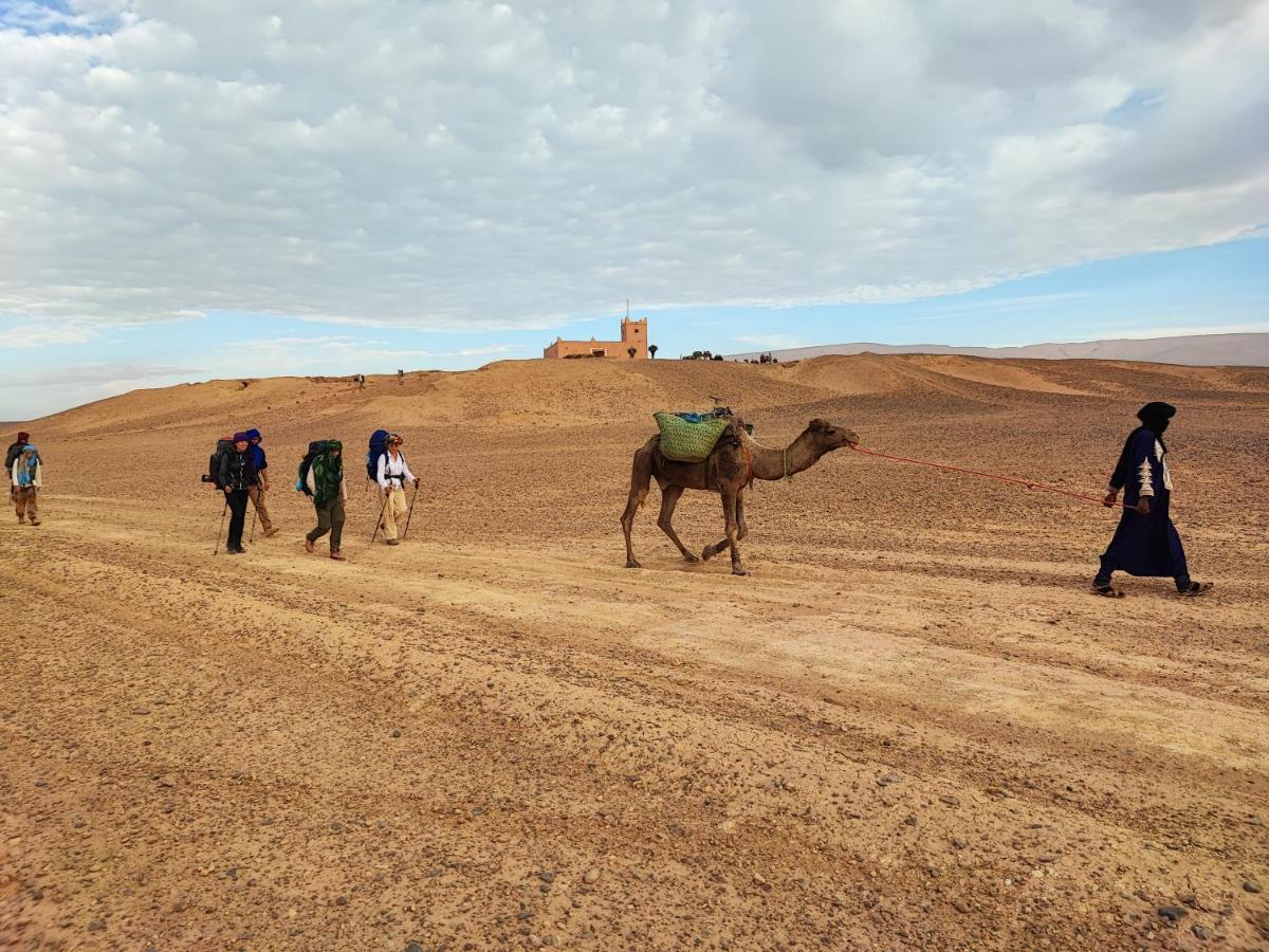 Bivouac Les Nomades & Foum Zguid To Chegaga Tours Hotell Exteriör bild
