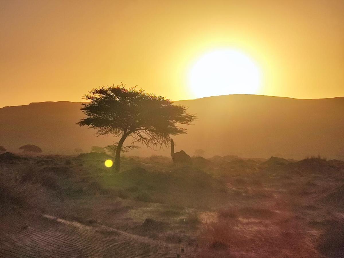 Bivouac Les Nomades & Foum Zguid To Chegaga Tours Hotell Exteriör bild