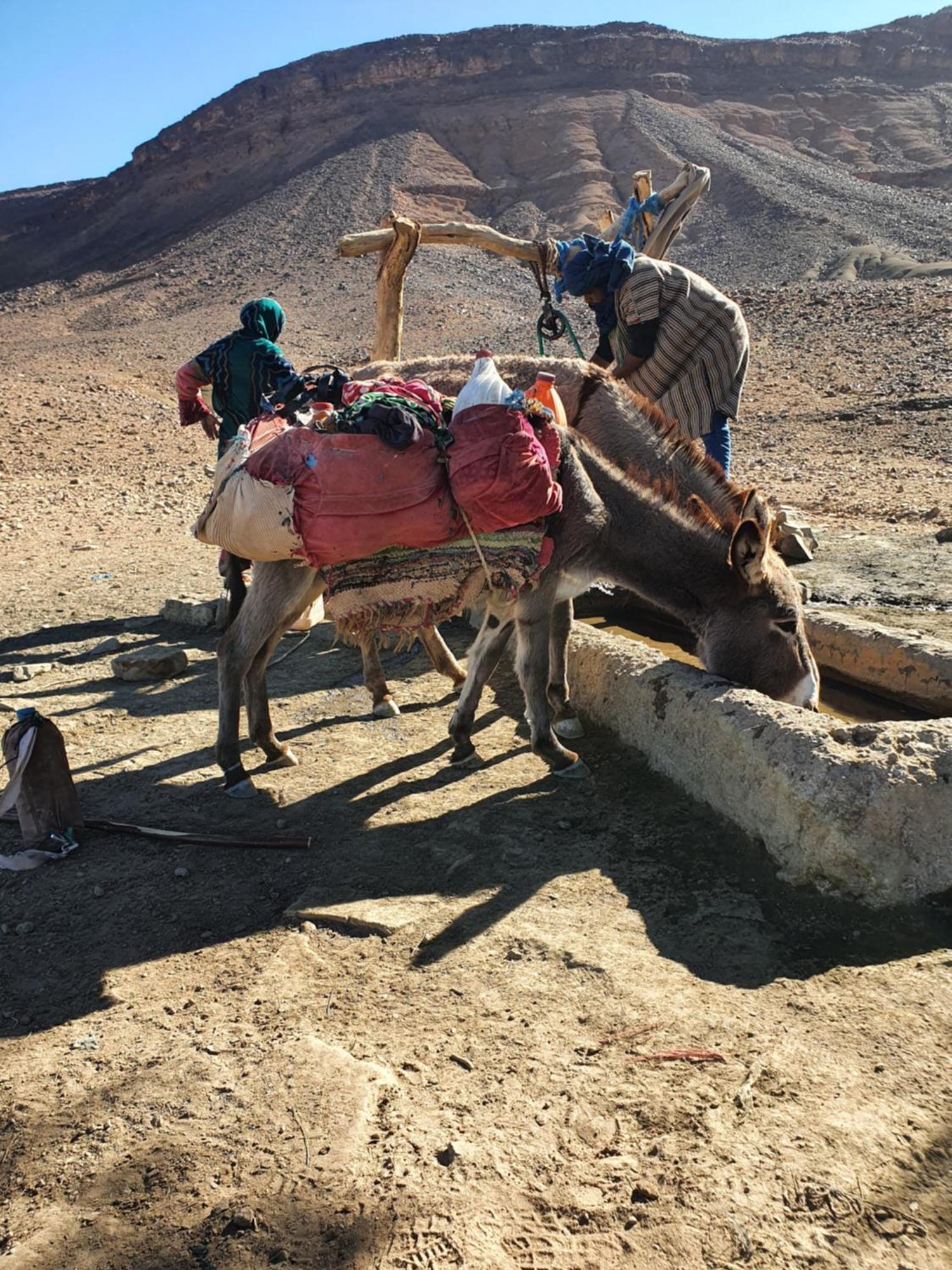 Bivouac Les Nomades & Foum Zguid To Chegaga Tours Hotell Exteriör bild