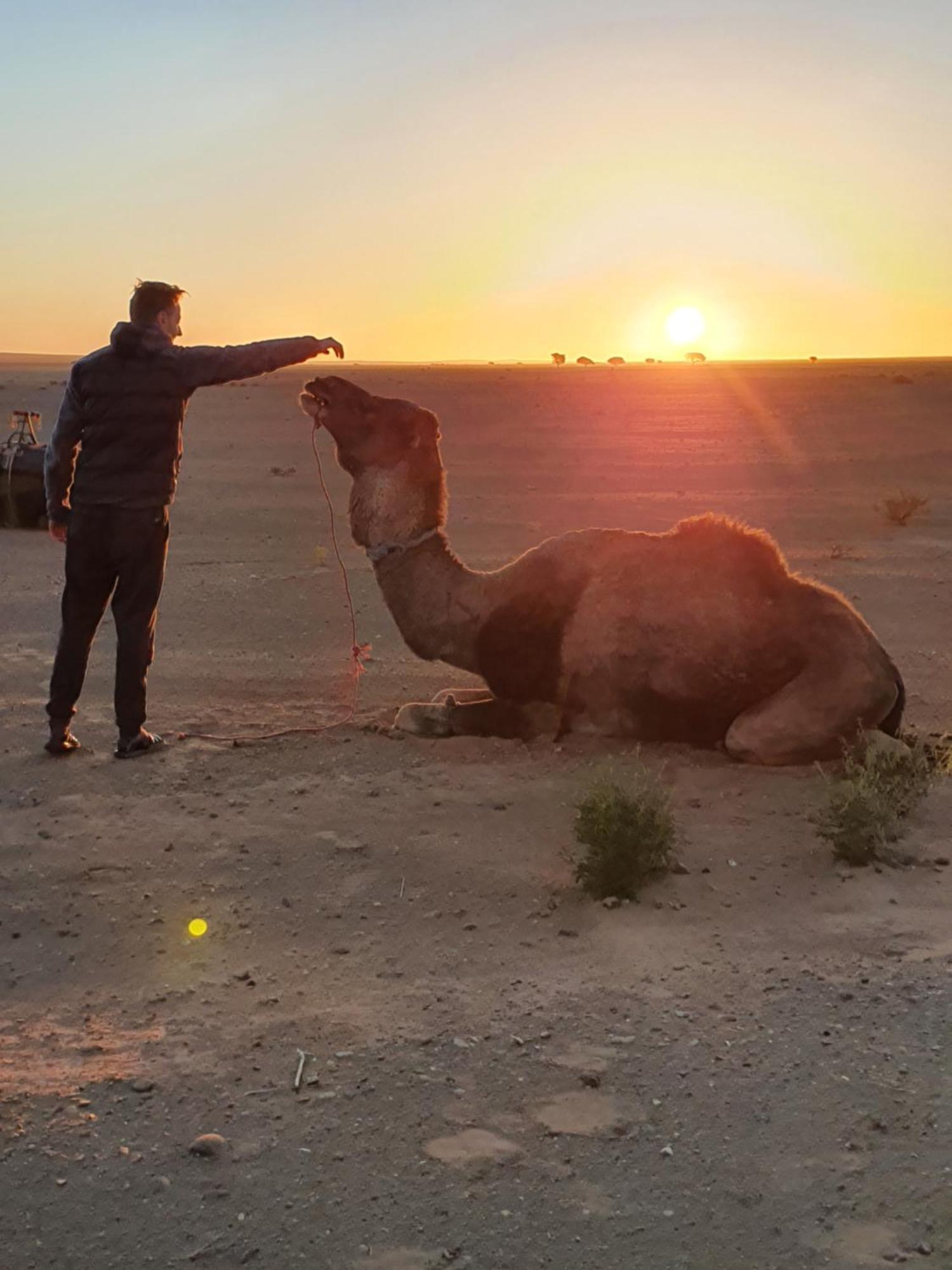 Bivouac Les Nomades & Foum Zguid To Chegaga Tours Hotell Exteriör bild