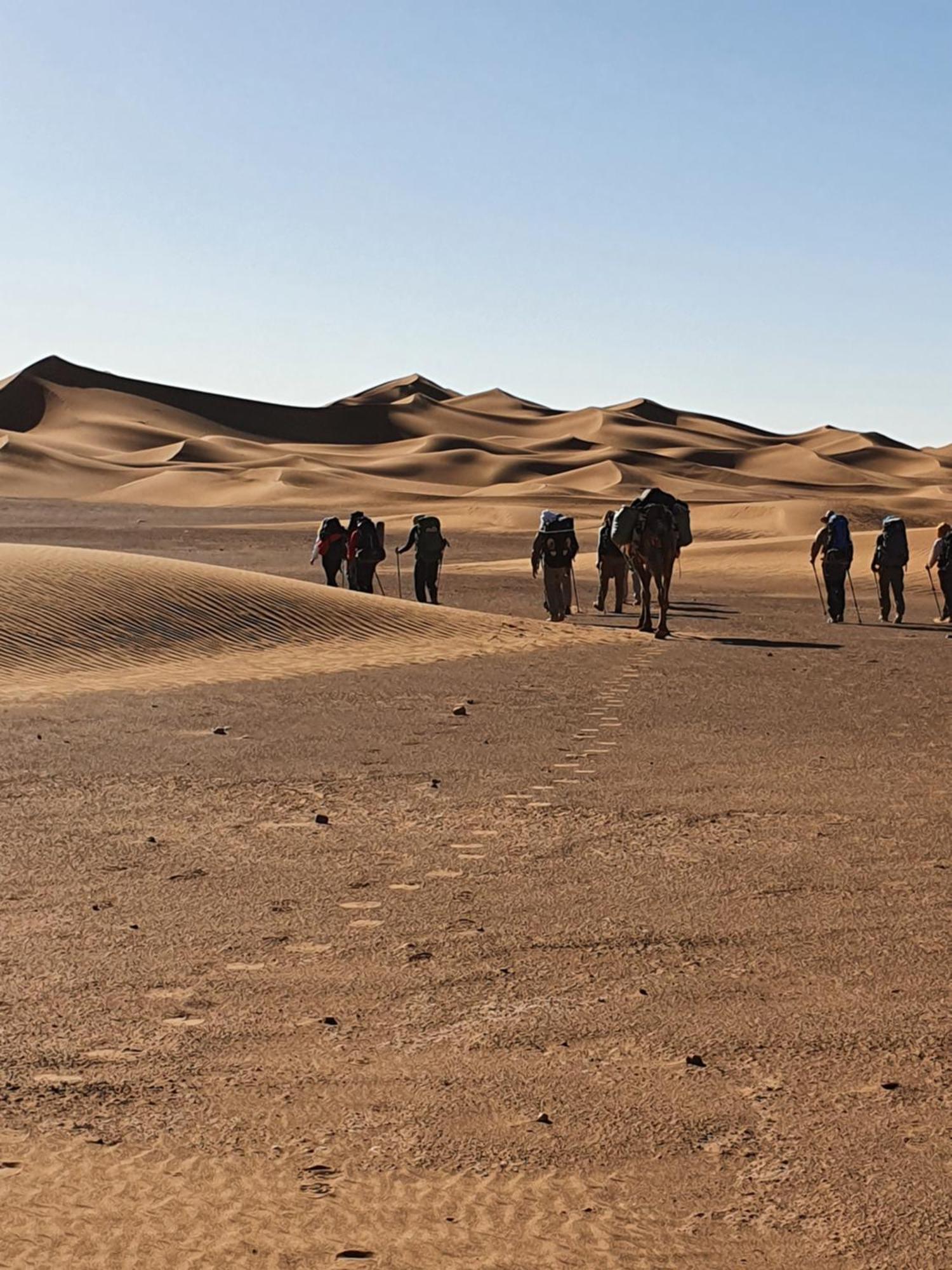 Bivouac Les Nomades & Foum Zguid To Chegaga Tours Hotell Exteriör bild